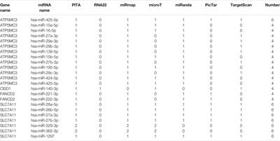 Identification of Ferroptosis-Related Genes as Biomarkers for Sarcoma